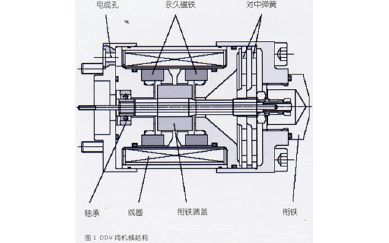 DDVMK体育在线注册,MK体育（中国）介绍及其应用